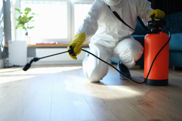 Reliable Infectious Disease Decontamination contractor in Geyserville, CA by Trauma Clean Pros